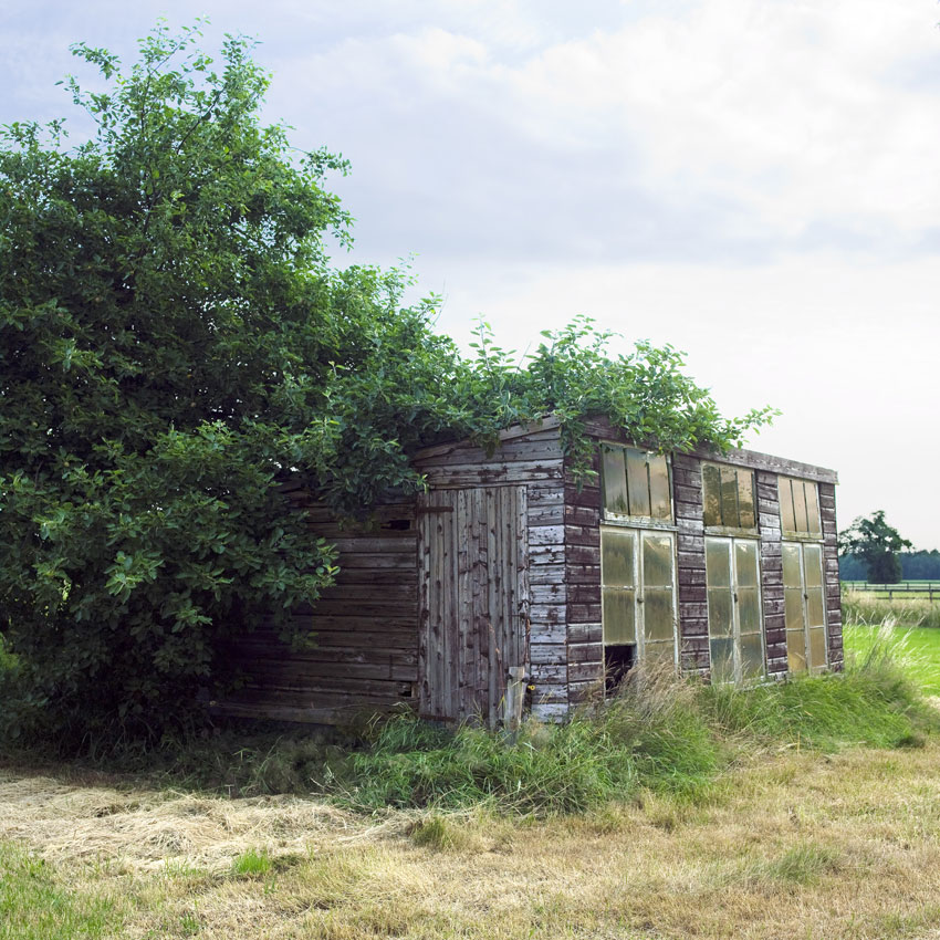 00095 kippenhokken (6)